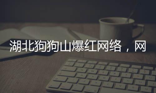 湖北狗狗山爆紅網(wǎng)絡(luò)，網(wǎng)友直呼太像了