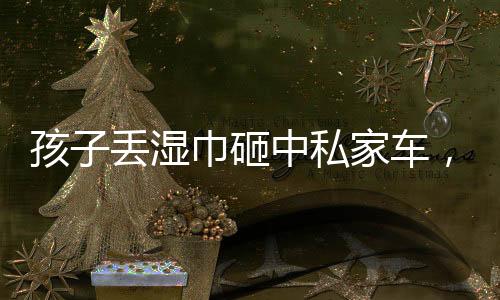 孩子丟濕巾砸中私家車，賠償七千引熱議