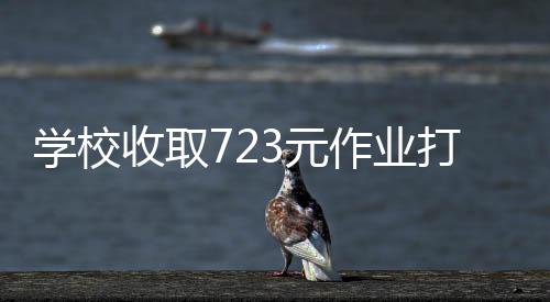 學校收取723元作業(yè)打印費，費用明細、原因及影響分析