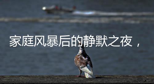 家庭風(fēng)暴后的靜默之夜，兒子含淚收拾父母爭(zhēng)吵的殘局