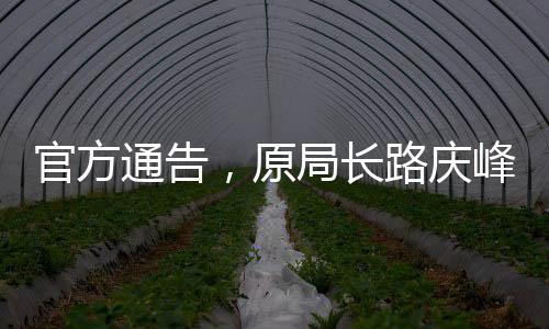 官方通告，原局長路慶峰被敦促投案自首