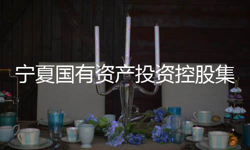 寧夏國有資產(chǎn)投資控股集團(tuán)有限公司原黨委書記、董事長趙其宏一審獲刑十二年