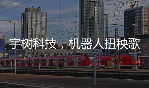 宇樹(shù)科技，機(jī)器人扭秧歌，科技與文化的完美融合之旅