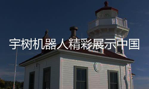 宇樹機(jī)器人精彩展示中國功夫，見證科技與文化的融合之美