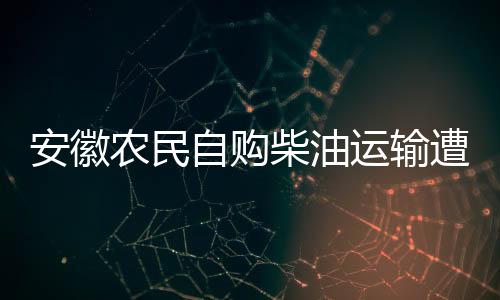 安徽農(nóng)民自購柴油運(yùn)輸遭罰事件，背景、爭議與反思
