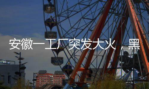 安徽一工廠突發(fā)大火，黑色煙柱直沖云霄