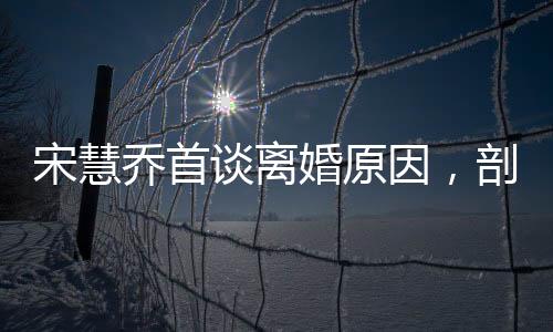 宋慧喬首談離婚原因，剖析背后的多重因素與反思