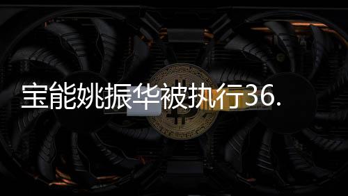 寶能姚振華被執(zhí)行36.6億，揭秘背后的故事與影響