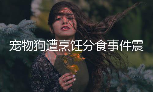 寵物狗遭烹飪分食事件震驚社會(huì)，道德倫理與法律責(zé)任的思考