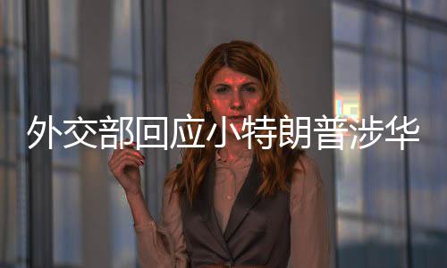 外交部回應(yīng)小特朗普涉華言論，展現(xiàn)堅定立場與善意溝通之道