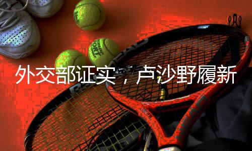 外交部證實(shí)，盧沙野履新，展現(xiàn)新領(lǐng)導(dǎo)力