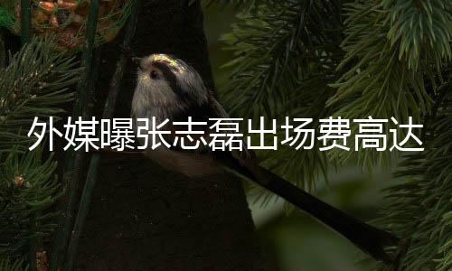 外媒曝張志磊出場費(fèi)高達(dá)250萬美元，創(chuàng)下了新紀(jì)錄