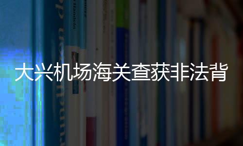 大興機(jī)場海關(guān)查獲非法背運(yùn)卷煙案，涉案卷煙達(dá)26600支