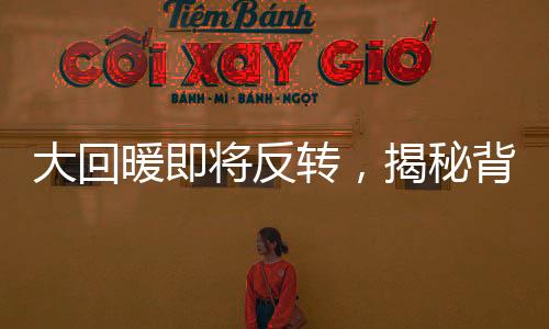 大回暖即將反轉(zhuǎn)，揭秘背后趨勢(shì)與發(fā)展新動(dòng)力
