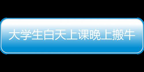 大學(xué)生白天上課晚上搬牛——探索校園內(nèi)外的雙重生活