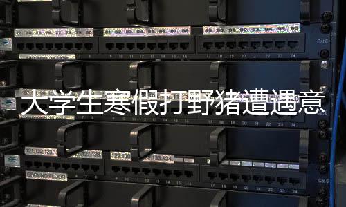 大學(xué)生寒假打野豬遭遇意外身亡，引發(fā)社會(huì)關(guān)注