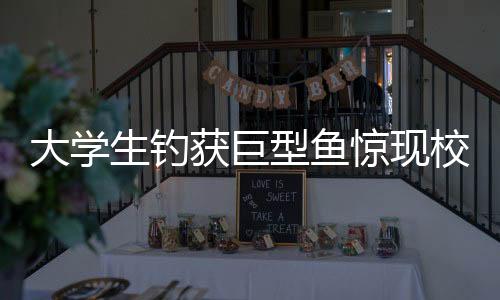 大學生釣獲巨型魚驚現(xiàn)校園，兩小時炫耀引人矚目