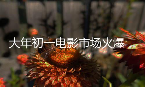 大年初一電影市場(chǎng)火爆，票房排名火熱出爐