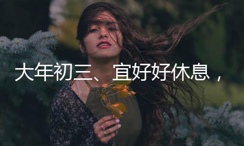 大年初三、宜好好休息，迎接新的一年
