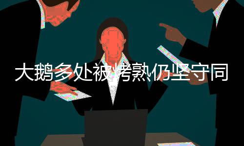 大鵝多處被烤熟仍堅守同伴，悲情場景令人動容