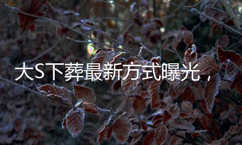 大S下葬最新方式曝光，創(chuàng)新葬禮理念與個(gè)性化服務(wù)的融合引領(lǐng)新風(fēng)尚