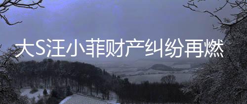 大S汪小菲財產(chǎn)糾紛再燃，昔日恩怨衍生七百萬爭議仍存爭議之中