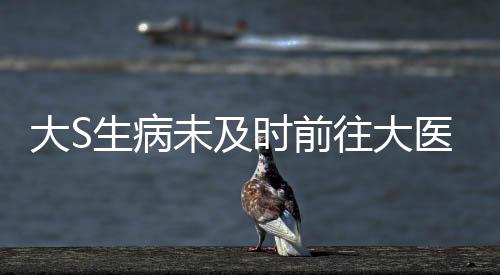 大S生病未及時前往大醫(yī)院，引發(fā)關(guān)注與熱議