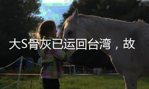 大S骨灰已運(yùn)回臺(tái)灣，故鄉(xiāng)安息之所的歸宿