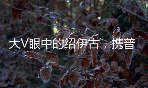 大V眼中的紹伊古，攜普京重托而來，展現(xiàn)俄中友好新篇章