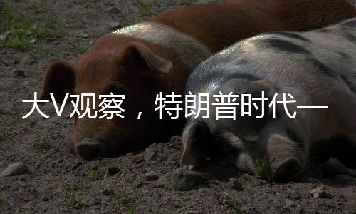 大V觀察，特朗普時代——美國近三十年布局灰飛煙滅