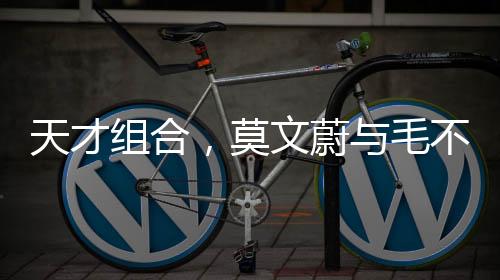 天才組合，莫文蔚與毛不易的跨界搭配，揭曉新樂章與未知驚喜
