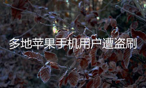 多地蘋(píng)果手機(jī)用戶(hù)遭盜刷，引發(fā)關(guān)注熱議