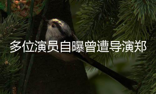 多位演員自曝曾遭導演鄭某峰侵害，行業(yè)內(nèi)部的黑暗與呼吁正義的心聲