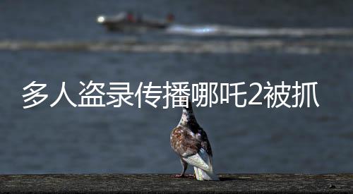 多人盜錄傳播哪吒2被抓，法律嚴(yán)懲影視盜版行為