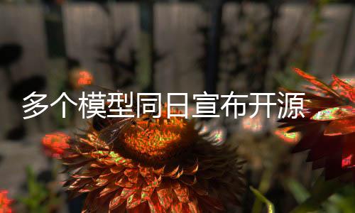 多個模型同日宣布開源，科技界迎來創(chuàng)新繁榮時代