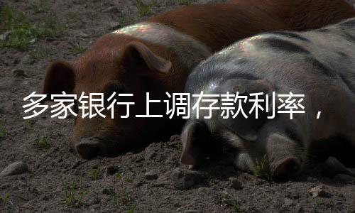 多家銀行上調(diào)存款利率，行業(yè)變革及其影響分析