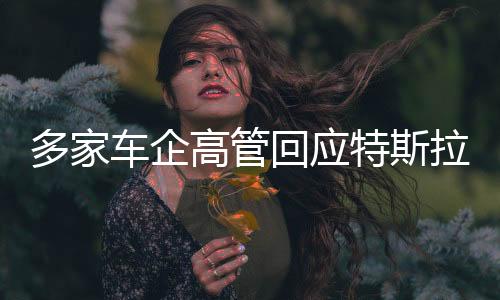 多家車企高管回應(yīng)特斯拉FSD入華，行業(yè)內(nèi)的不同聲音與應(yīng)對(duì)策略