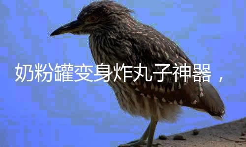 奶粉罐變身炸丸子神器，創(chuàng)意家居DIY引領(lǐng)新潮流