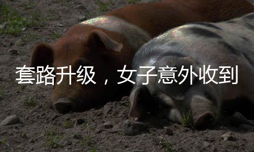 套路升級(jí)，女子意外收到騙子轉(zhuǎn)賬50萬元背后的故事