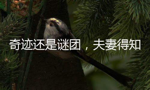 奇跡還是謎團(tuán)，夫妻得知女兒已死35年后復(fù)活