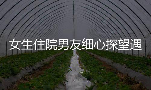 女生住院男友細心探望遇上女方爸爸 見證愛的力量與親情交織的美好時刻