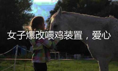 女子爆改喂雞裝置，愛心喂養(yǎng)五十只流浪貓
