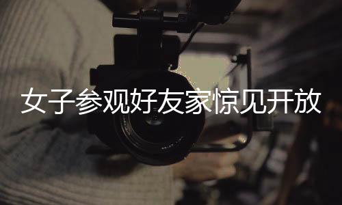 女子參觀好友家驚見開放式廁所設(shè)計，一場關(guān)于私密與開放的探討