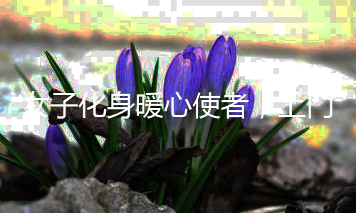 女子化身暖心使者，上門喂貓服務(wù)火爆，一天走訪二十家收費百元