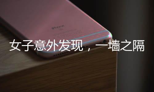 女子意外發(fā)現(xiàn)，一墻之隔藏玄機(jī)，自家墻壁竟通向隔壁柜子