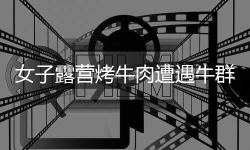 女子露營烤牛肉遭遇牛群侵襲，牛肉被吃得一干二凈