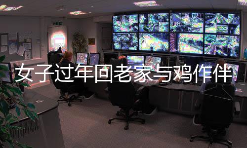 女子過年回老家與雞作伴，滿地雞屎——返鄉(xiāng)新體驗(yàn)下的故事一探