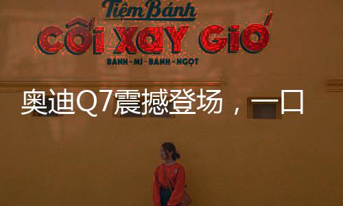 奧迪Q7震撼登場，一口價45.99萬起，豪華SUV新選擇