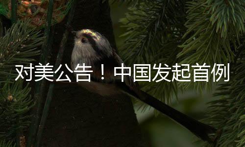 對美公告！中國發(fā)起首例反規(guī)避調(diào)查，全球貿(mào)易格局面臨新的挑戰(zhàn)