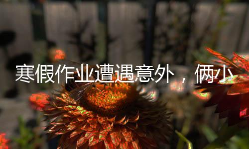 寒假作業(yè)遭遇意外，倆小孩巧妙應(yīng)對